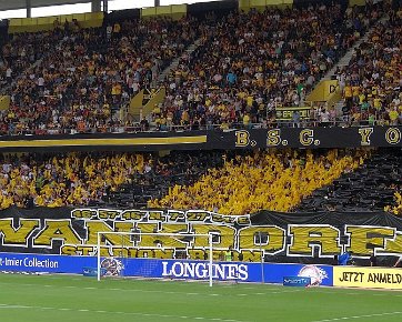 BSC Young Boys - FC Thun 28.07.2013