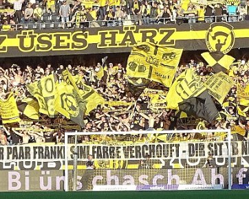 BSC Young Boys - FC Zürich 24.08.2019