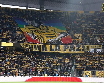 BSC Young Boys - FC Lugano 10.11.2024